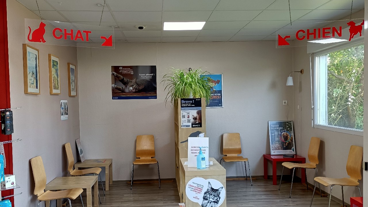 Salle d'attente
